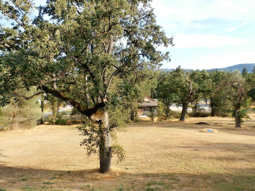New Charming 2 Bedrooms Unit Close To Everything Oakhurst Exterior photo